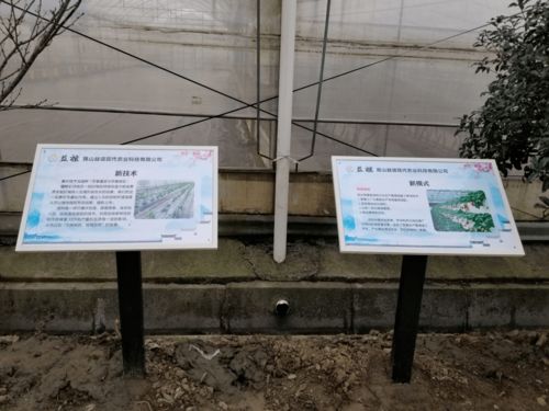 高顏值、高科技、高標準 張浦鎮(zhèn)“三維一體”高質(zhì)量推進蔬菜基地建設與技術(shù)推廣