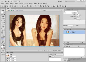 Adobe Fireworks CS6 漢化破解版 電腦圖文設(shè)計(jì)的利器與風(fēng)險(xiǎn)權(quán)衡